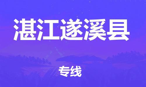 厦门到湛江遂溪县物流公司-厦门到湛江遂溪县专线-专车直送