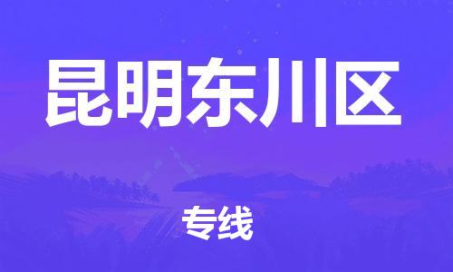 厦门到昆明东川区物流公司-厦门到昆明东川区专线-专车直送